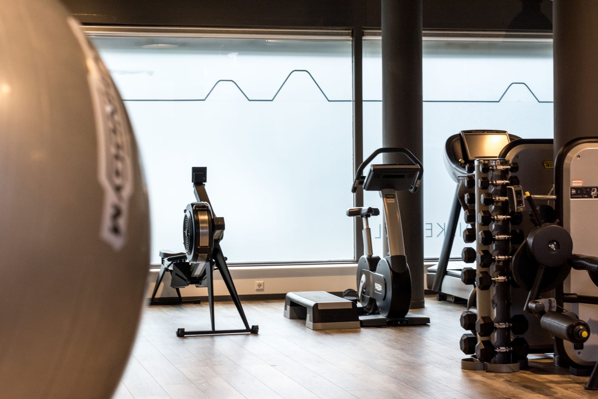 De oefenzaal met roeitrapper, hometrainer, loopband en een rek met dumbbells voor het beslagen raam met de dijklijn.